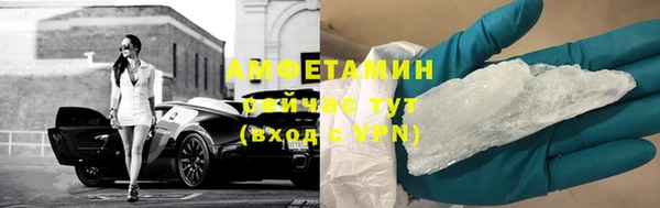 прущие грибы Аркадак