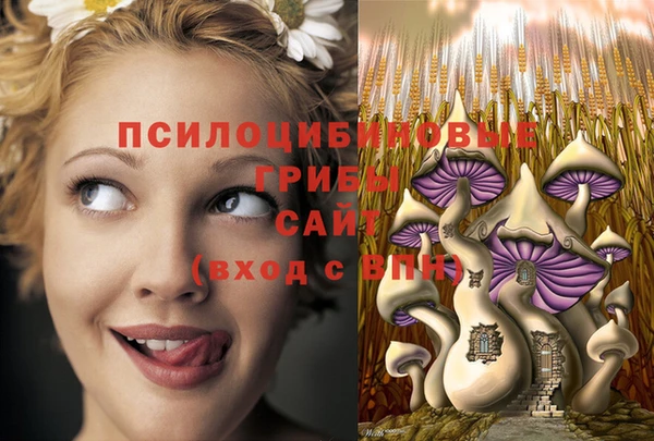 мескалин Арсеньев