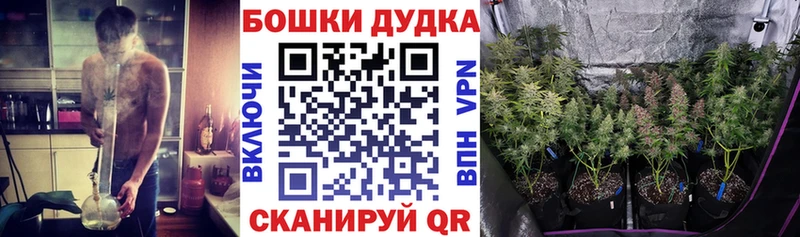купить наркотик  Ногинск  Конопля тримм 